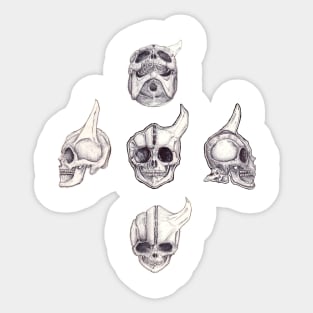 Skull study Sticker